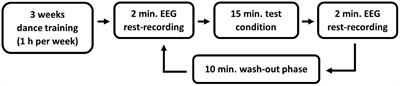 Sex-Specific Brain Responses to Imaginary Dance but Not Physical Dance: An Electroencephalography Study of Functional Connectivity and Electrical Brain Activity